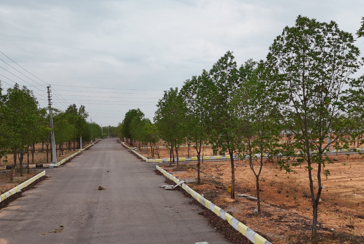 NATURE VIEW CITY – YACHARAM