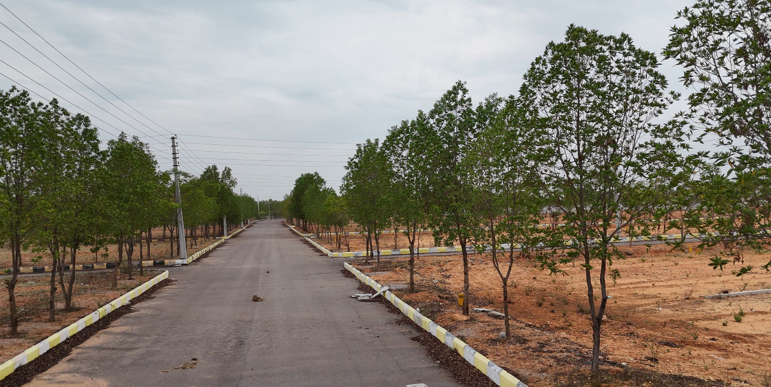 NATURE VIEW CITY – YACHARAM