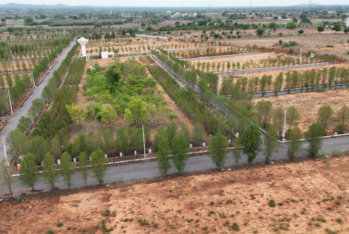 NATURE VIEW CITY – YACHARAM