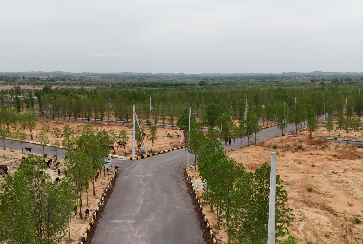 NATURE VIEW CITY – YACHARAM