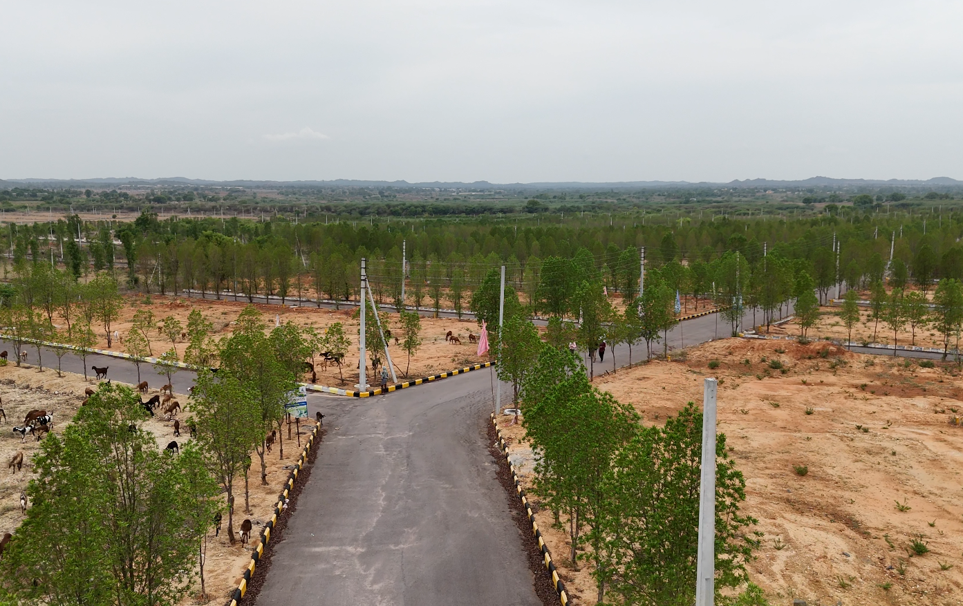 NATURE VIEW CITY – YACHARAM